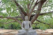 斯里蘭卡 Anuradhapura（阿努拉德普勒）