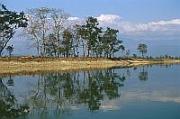 尼泊爾 Royal Chitwan National Park（哲雲／奇旺國家公園）、試玩激流