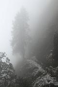 濃霧中的山路