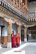 普納卡宗內的僧侶