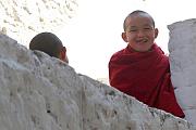 普納卡宗內的小僧侶