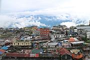 印度 Darjeeling（大吉嶺）