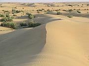 Sam Sand Dune