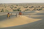 印度 Sam Sand Dune - 走進沙漠看沙丘