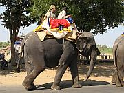 大象仍是當地常見的交通工具