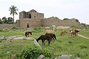 Mohammadan Watch tower