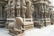 印度 Kanchipuram (甘吉布勒姆)