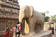 Nakula-Sahadeva Ratha 旁的石象