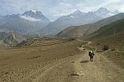 前面雪山之間的便是 Thorung La - Around Annapurna Trek 的最高點